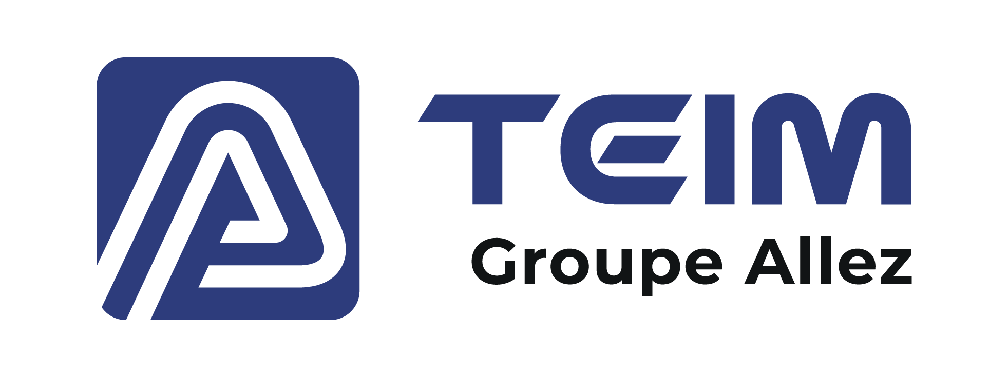 Logo Teim 1