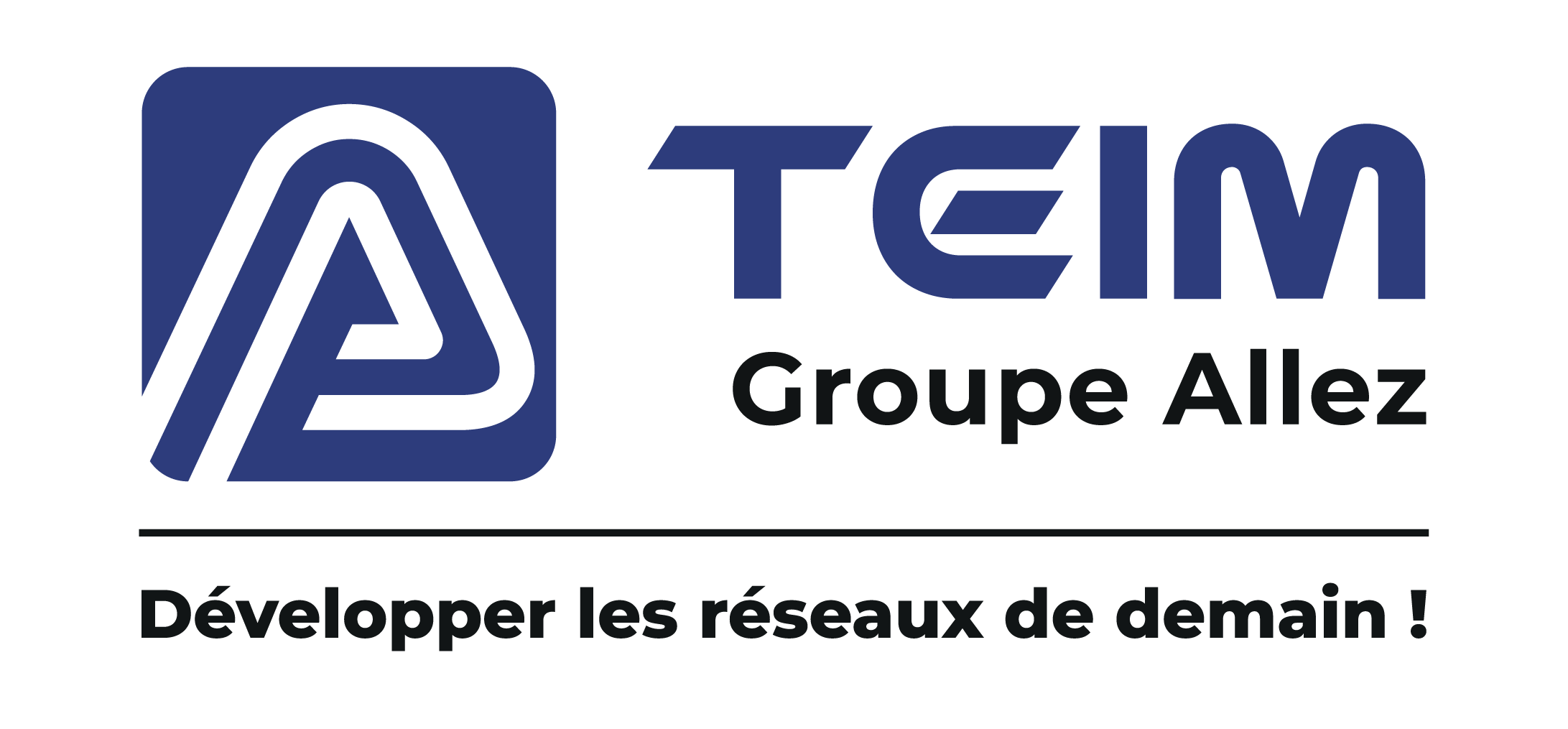 Logo Teim 2